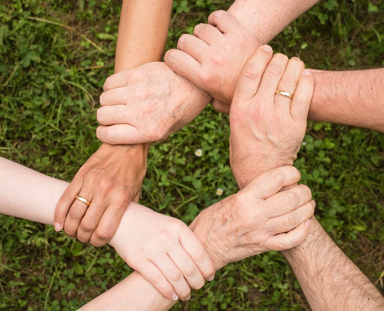 Team spirit and community collaboration